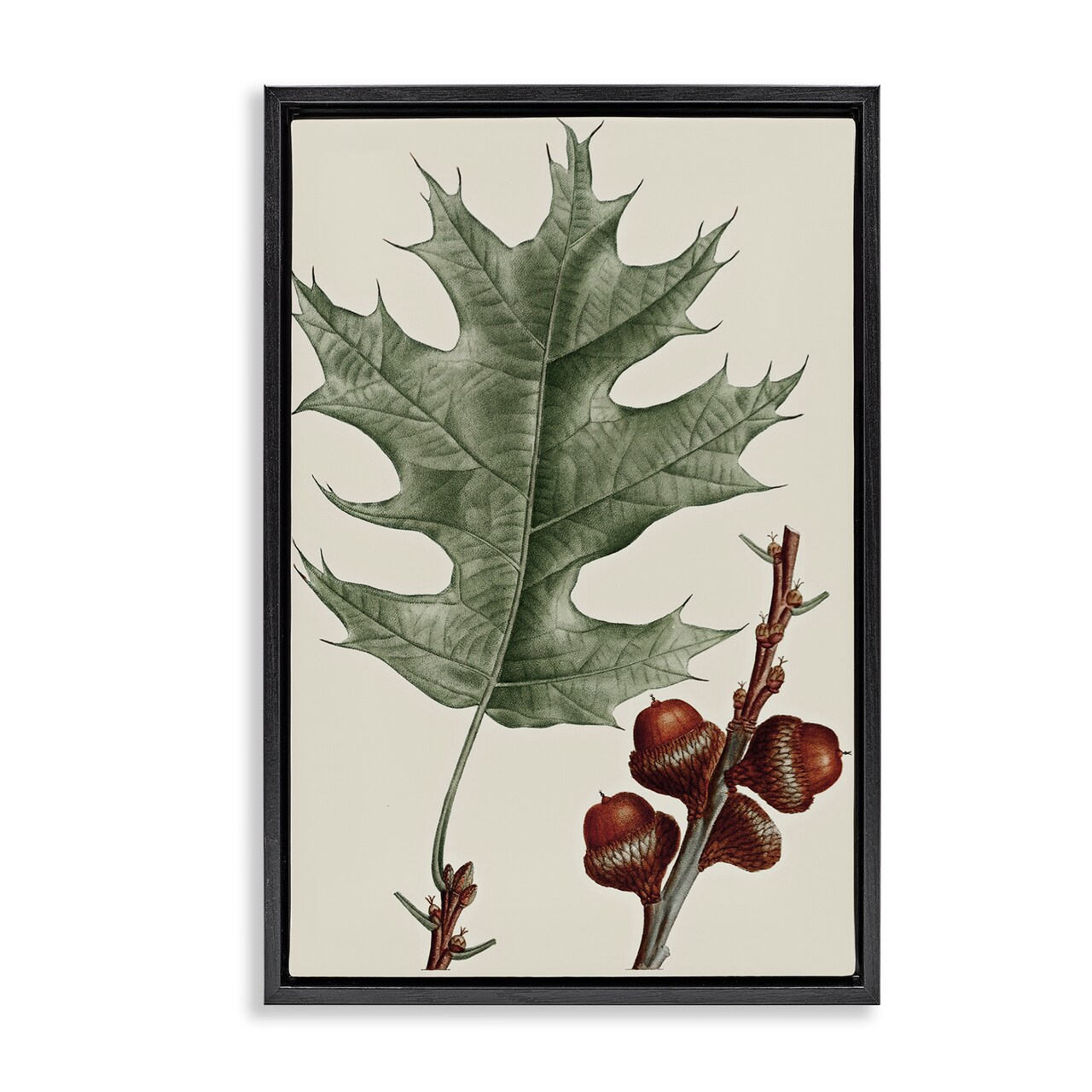 Stupell Industries Vintage Black Oak Leaf Floater Framed Canvas Wall Art Design by Graffi*tee Studios